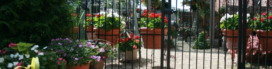 in-the-garden-resizedsmall